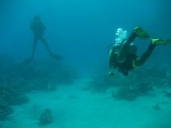 24-metres below and following the leader..... by Mario Bortolotti 
